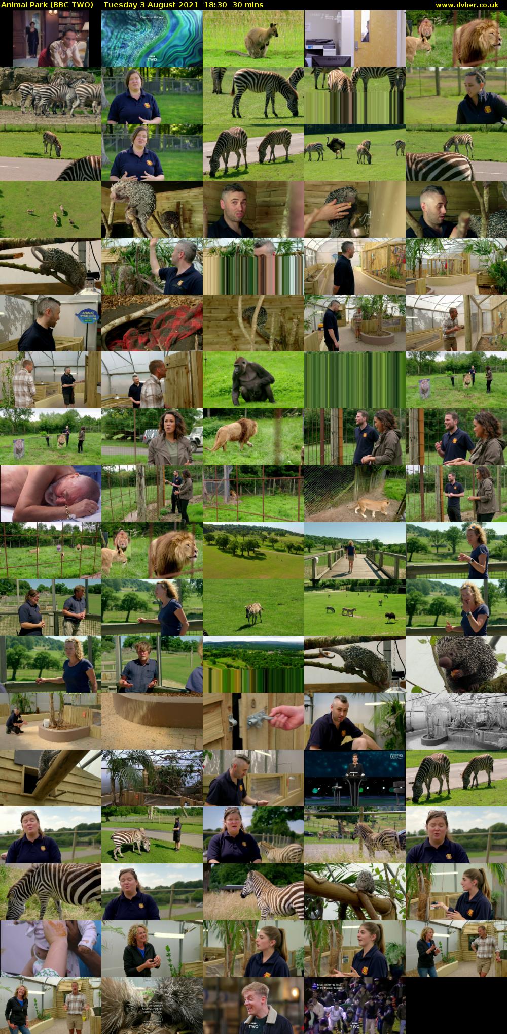 Animal Park (BBC TWO) Tuesday 3 August 2021 18:30 - 19:00