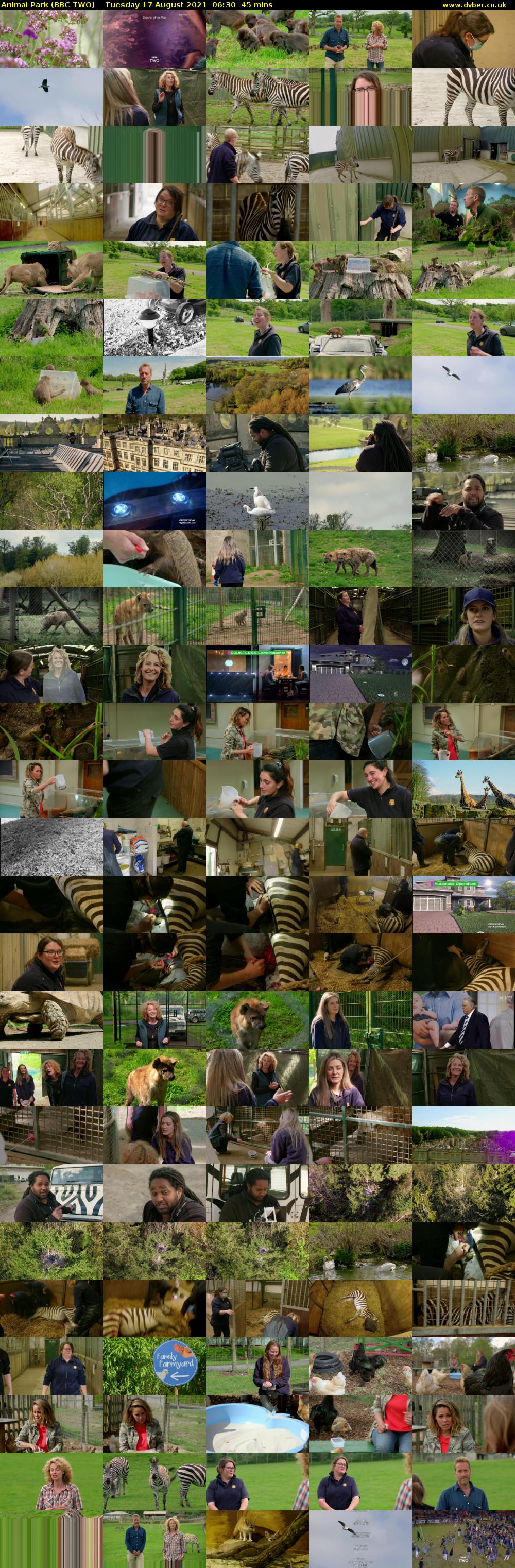 Animal Park (BBC TWO) Tuesday 17 August 2021 06:30 - 07:15