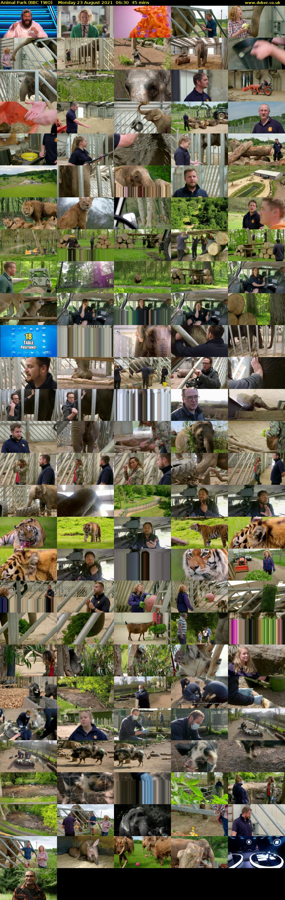 Animal Park (BBC TWO) Monday 23 August 2021 06:30 - 07:15