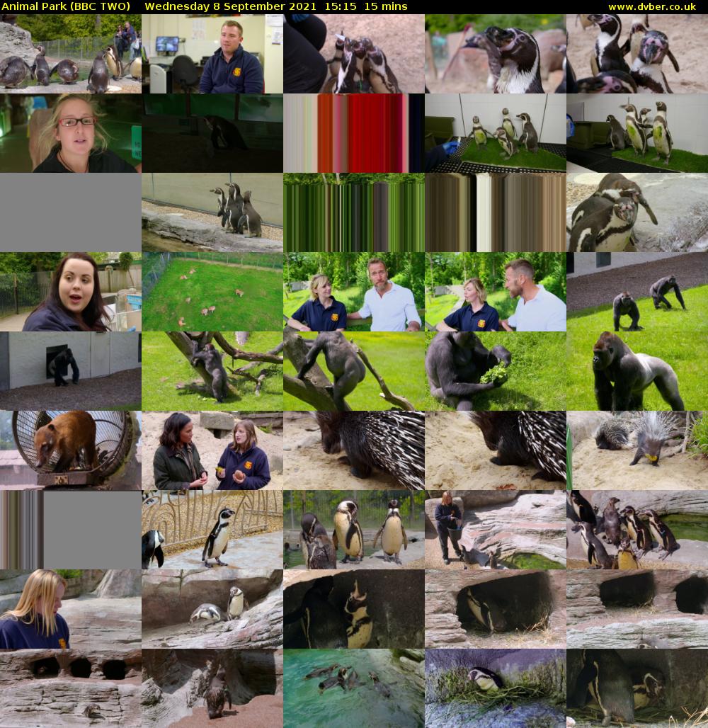 Animal Park (BBC TWO) Wednesday 8 September 2021 15:15 - 15:30