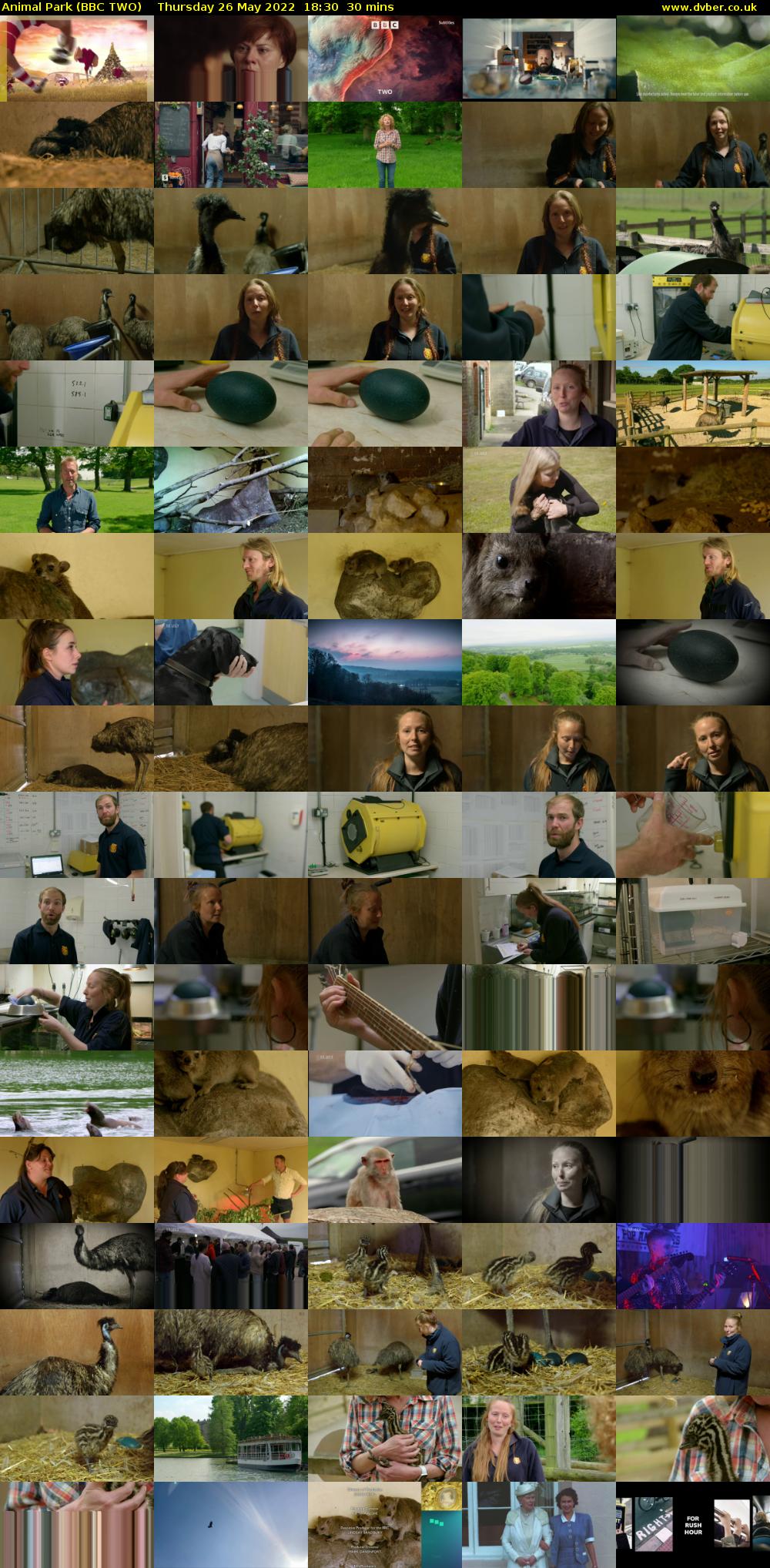 Animal Park (BBC TWO) Thursday 26 May 2022 18:30 - 19:00
