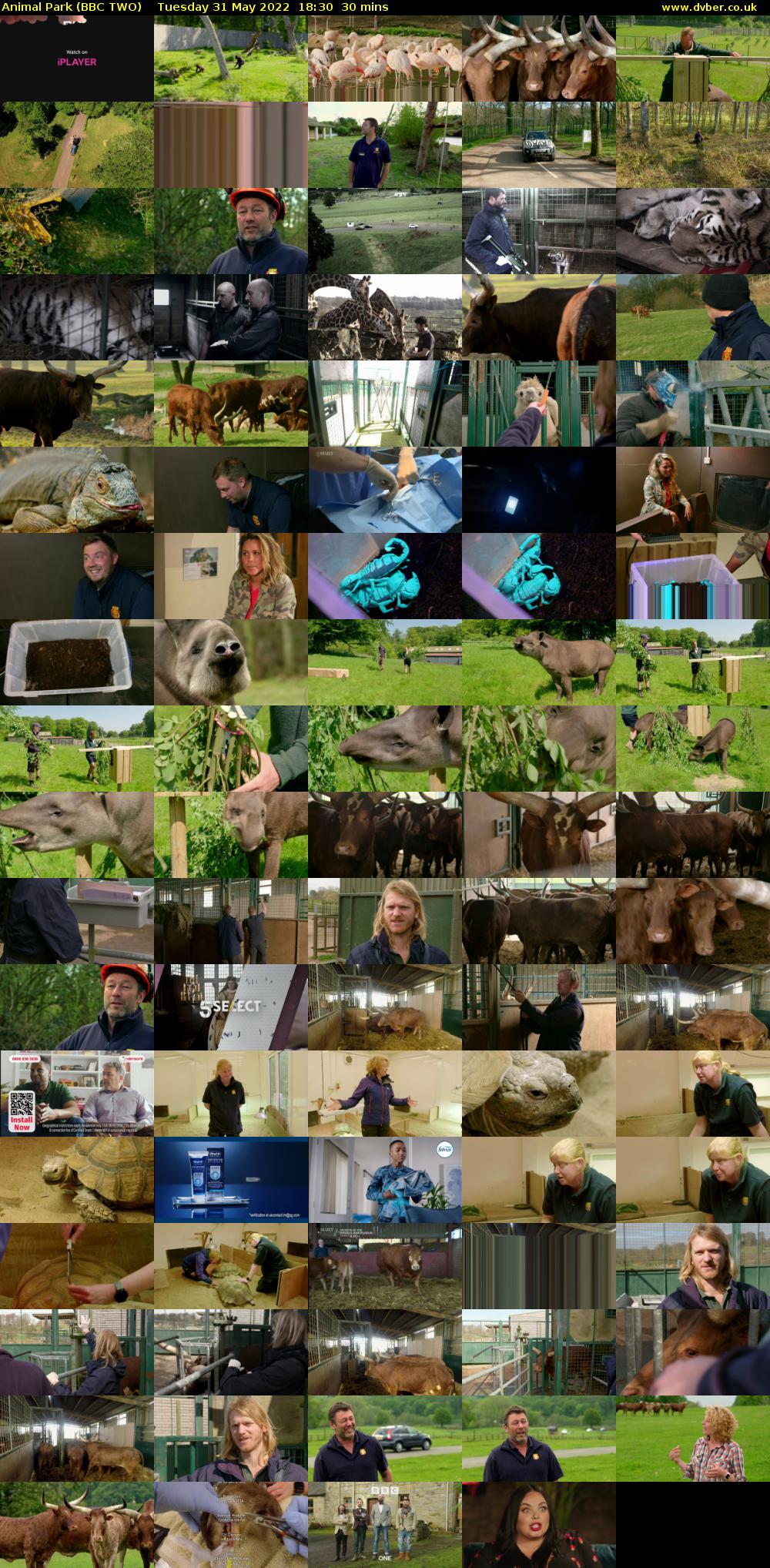 Animal Park (BBC TWO) Tuesday 31 May 2022 18:30 - 19:00