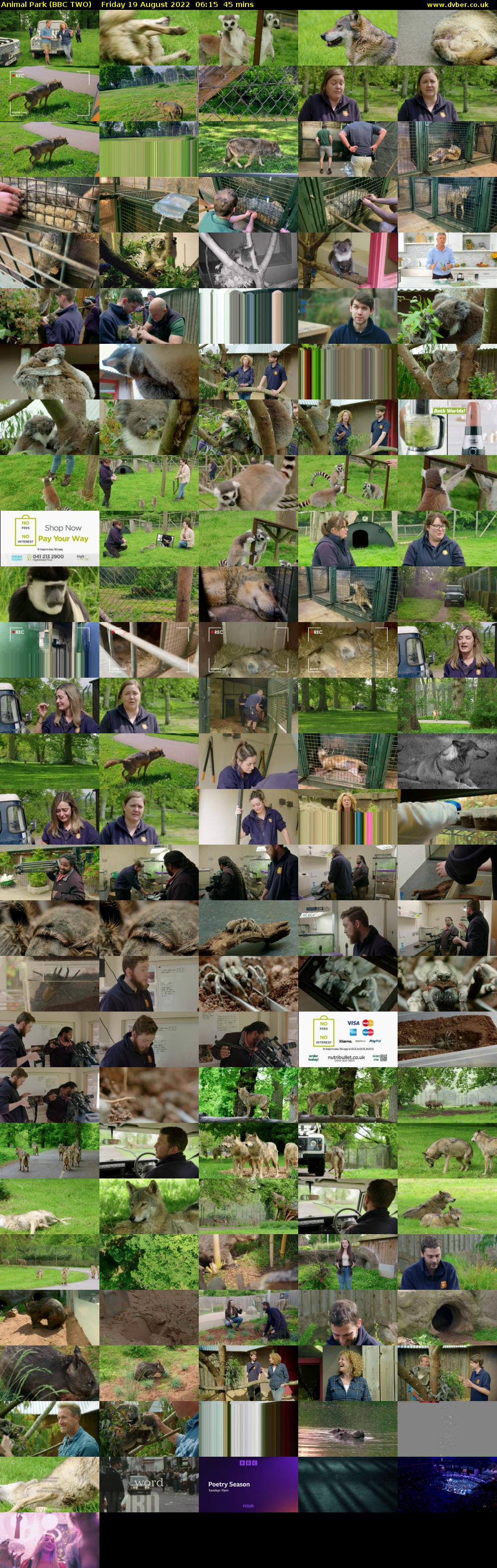 Animal Park (BBC TWO) Friday 19 August 2022 06:15 - 07:00