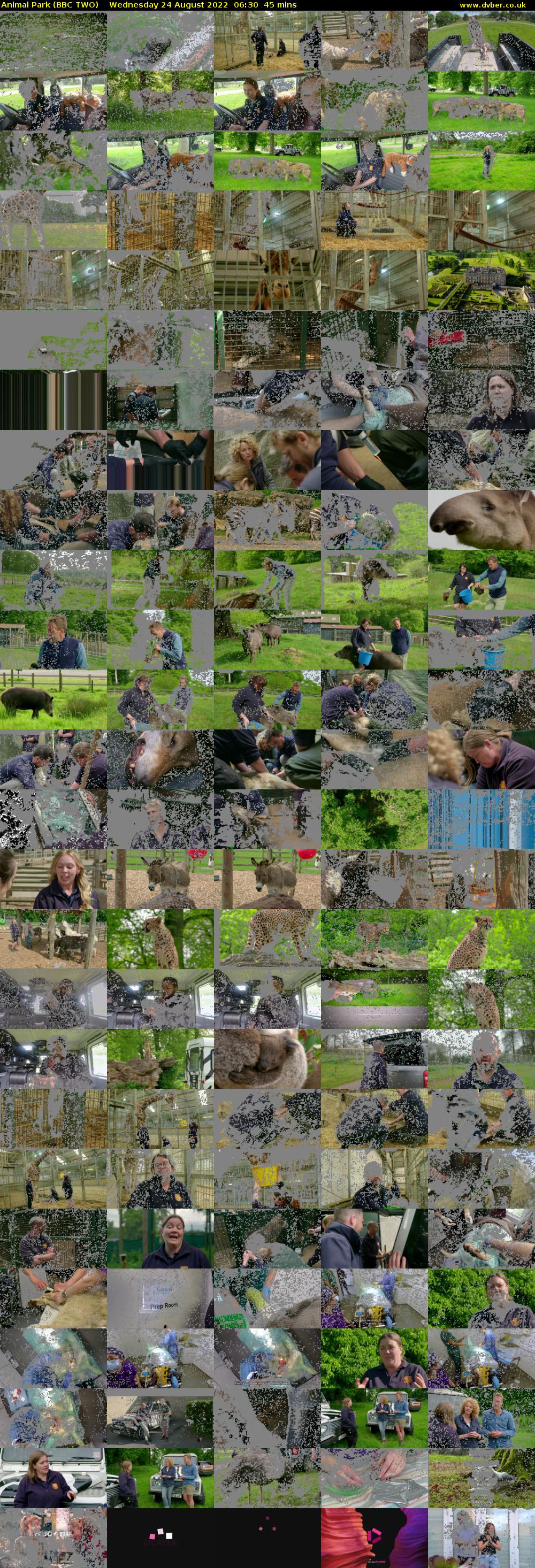 Animal Park (BBC TWO) Wednesday 24 August 2022 06:30 - 07:15