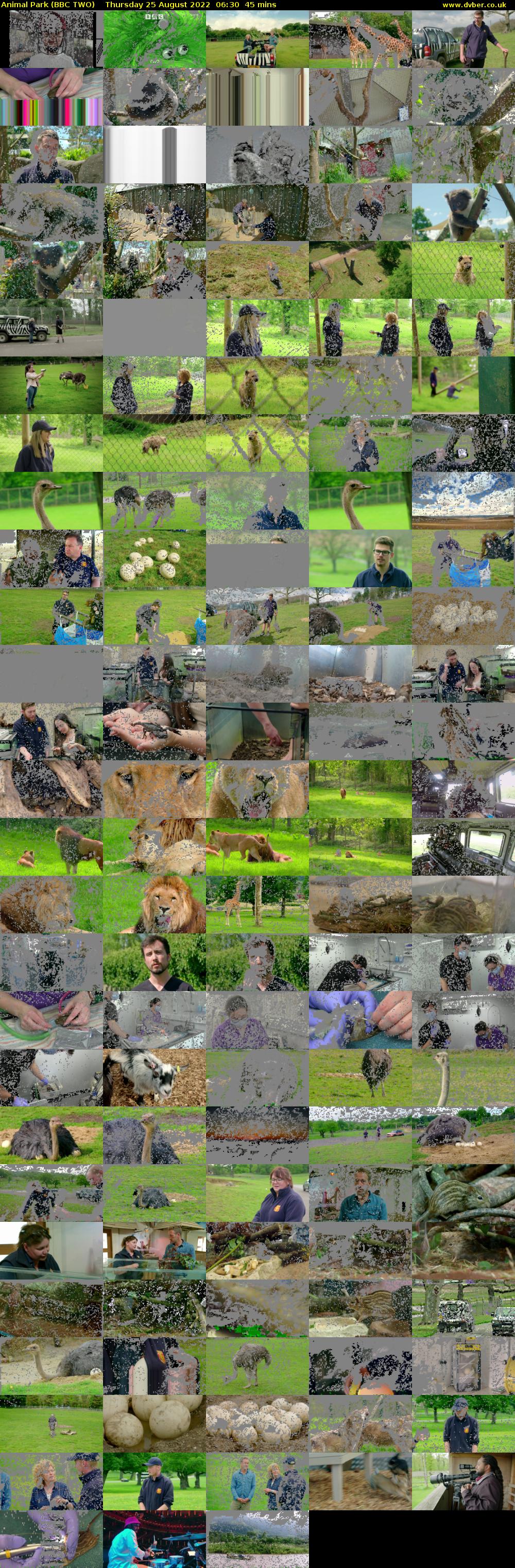 Animal Park (BBC TWO) Thursday 25 August 2022 06:30 - 07:15