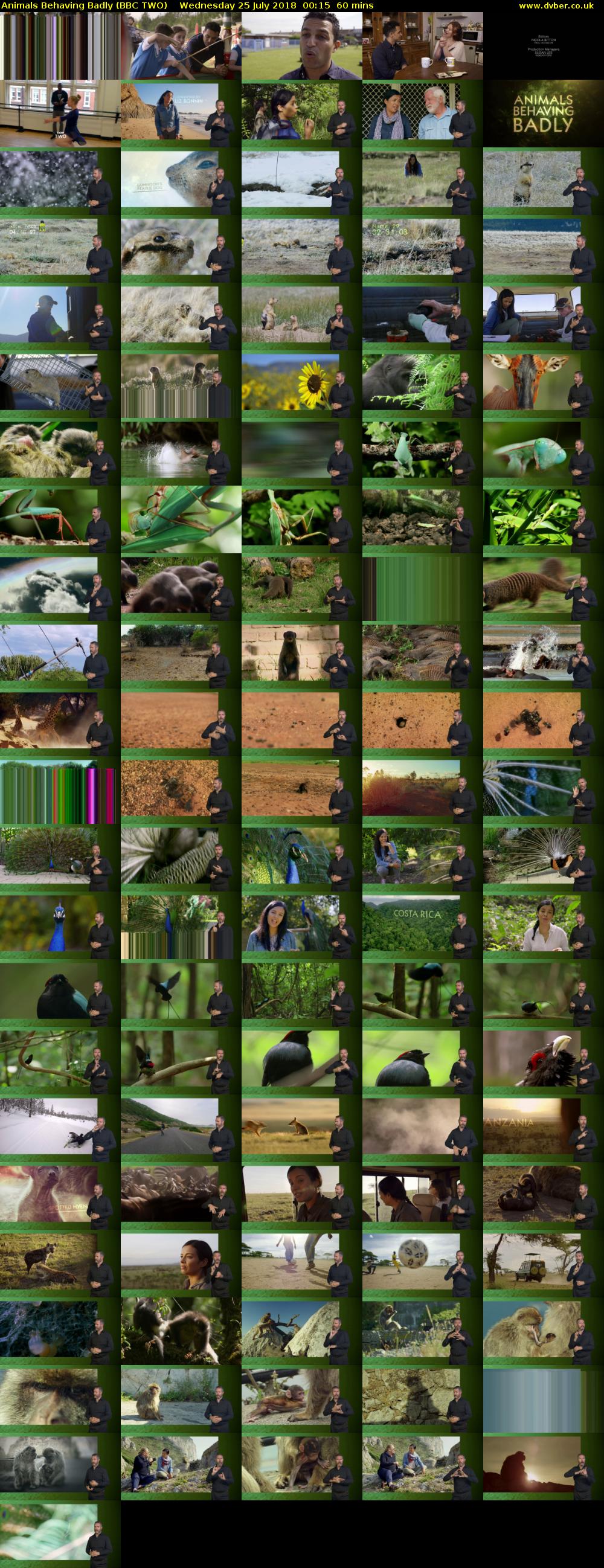 Animals Behaving Badly (BBC TWO) Wednesday 25 July 2018 00:15 - 01:15