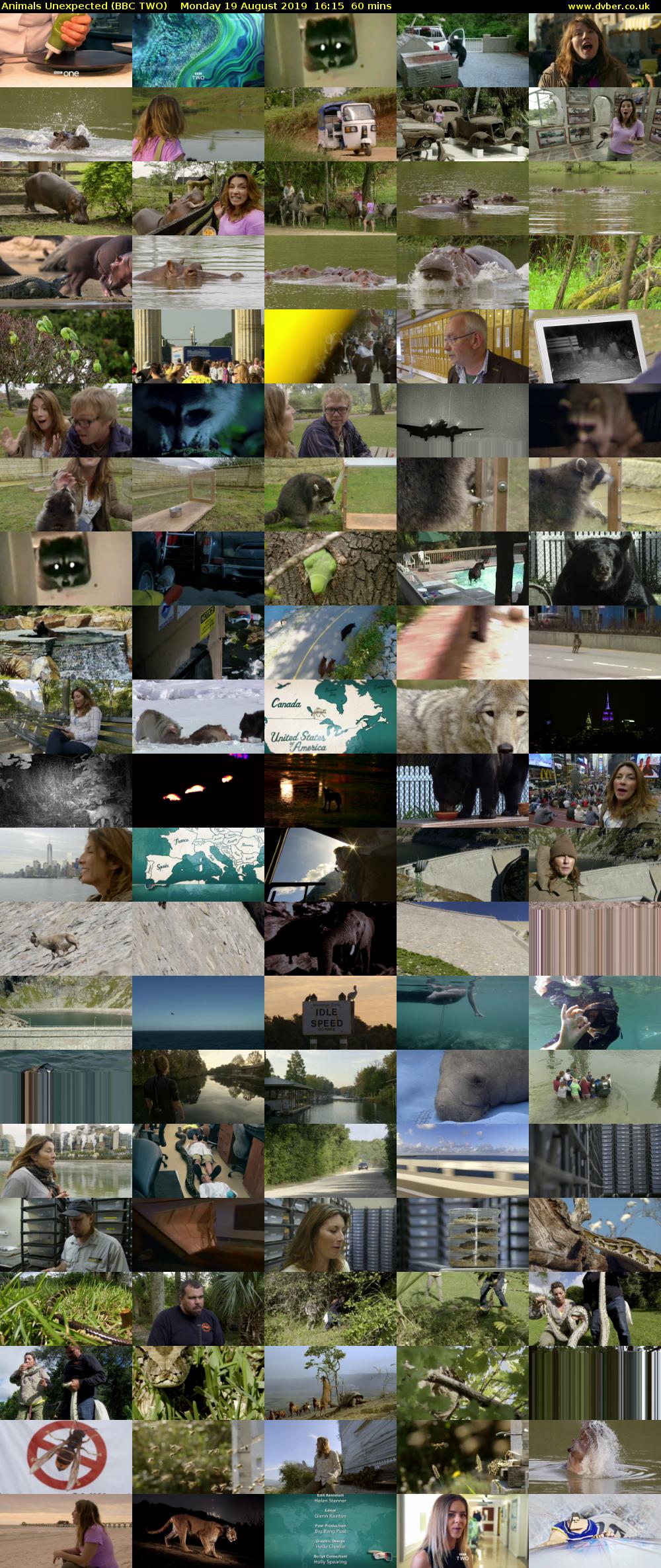 Animals Unexpected (BBC TWO) Monday 19 August 2019 16:15 - 17:15