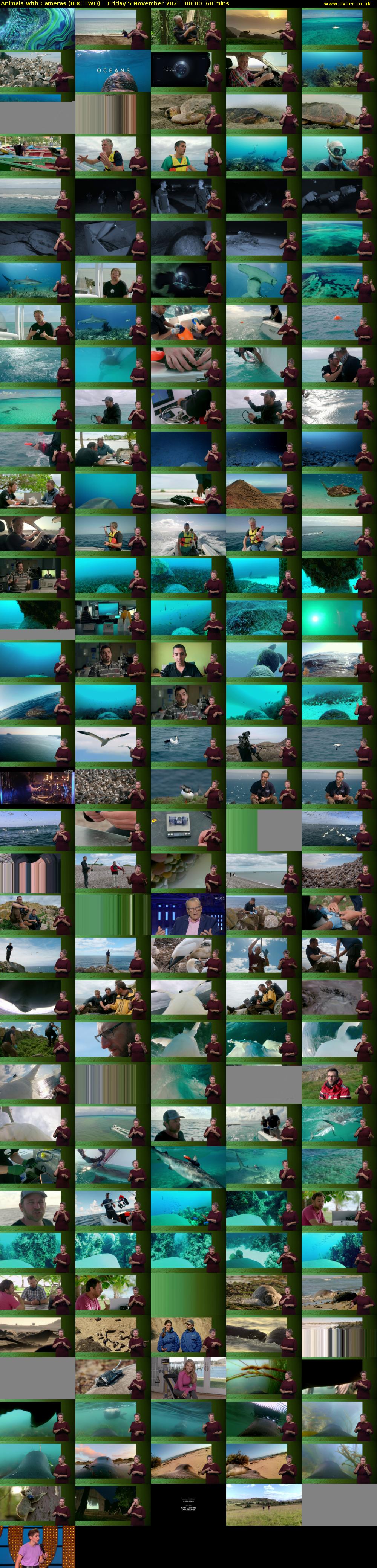Animals with Cameras (BBC TWO) Friday 5 November 2021 08:00 - 09:00