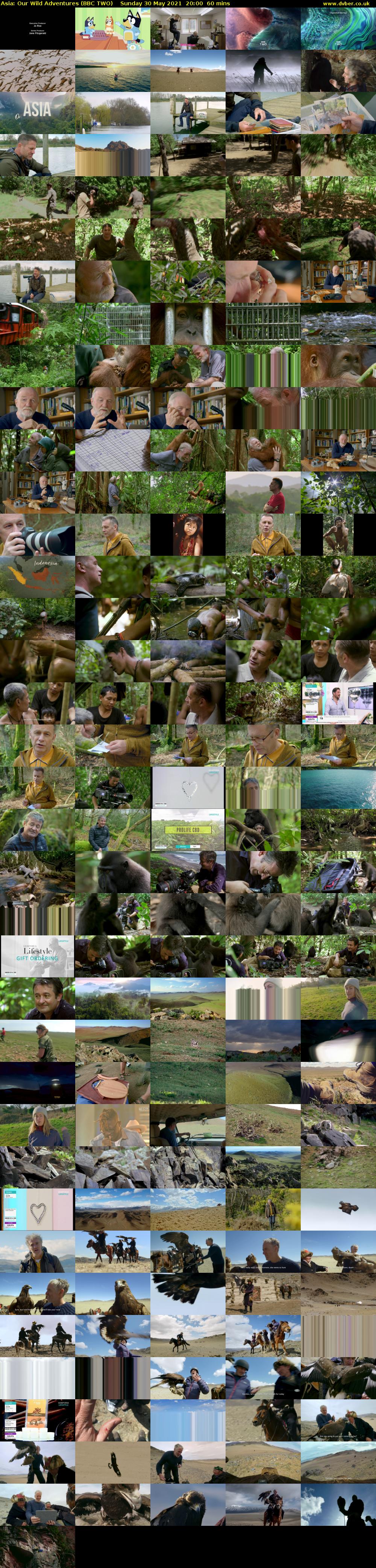 Asia: Our Wild Adventures (BBC TWO) Sunday 30 May 2021 20:00 - 21:00