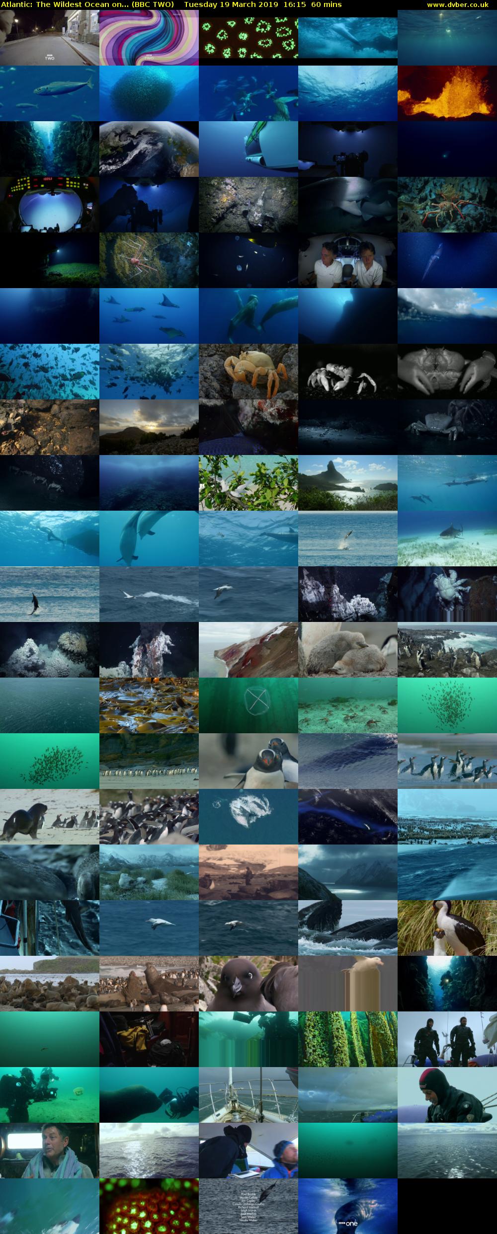 Atlantic: The Wildest Ocean on... (BBC TWO) Tuesday 19 March 2019 16:15 - 17:15
