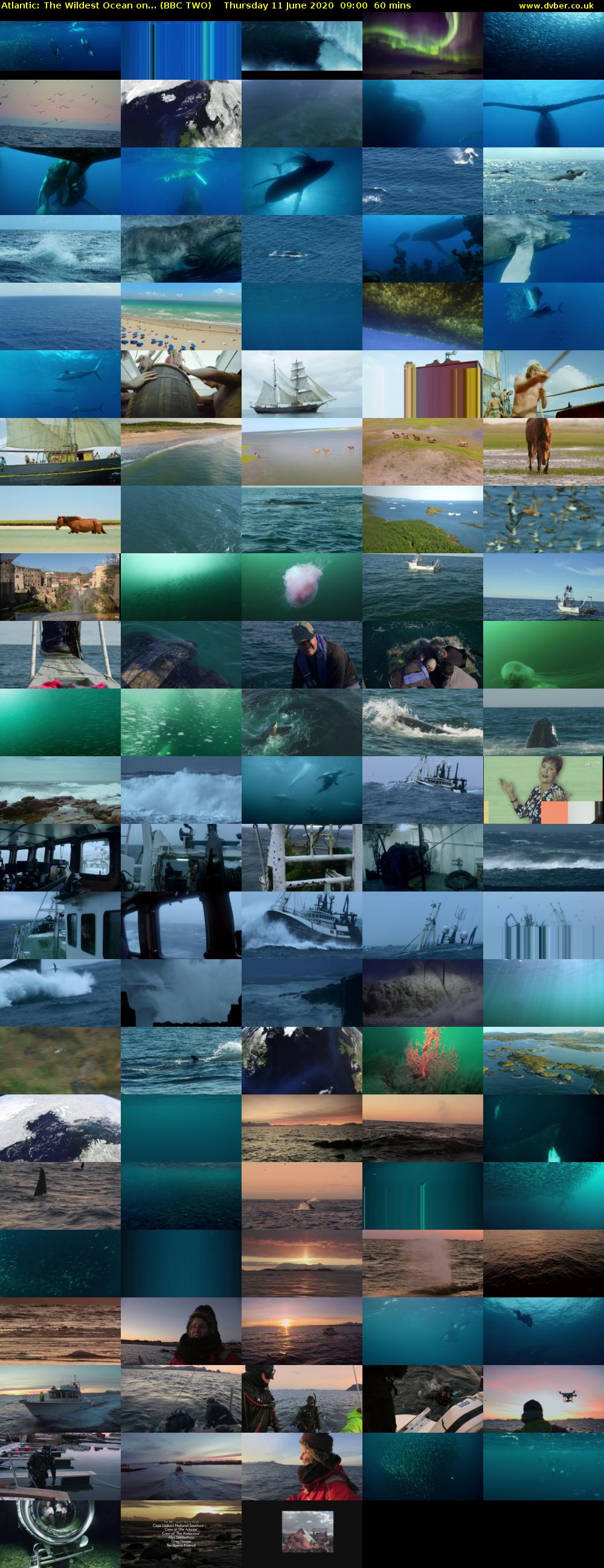 Atlantic: The Wildest Ocean on... (BBC TWO) Thursday 11 June 2020 09:00 - 10:00