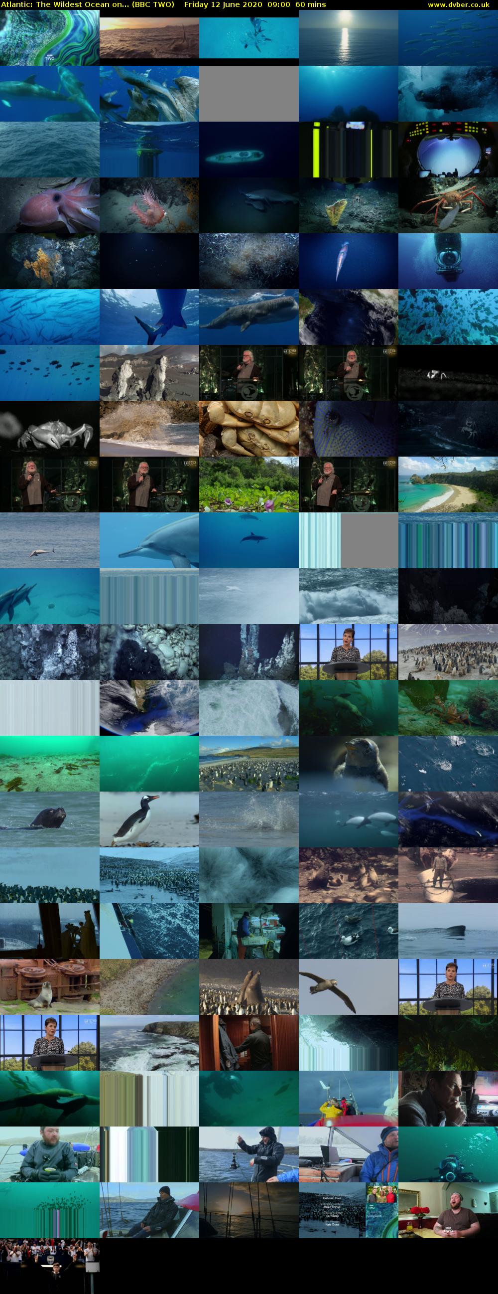 Atlantic: The Wildest Ocean on... (BBC TWO) Friday 12 June 2020 09:00 - 10:00