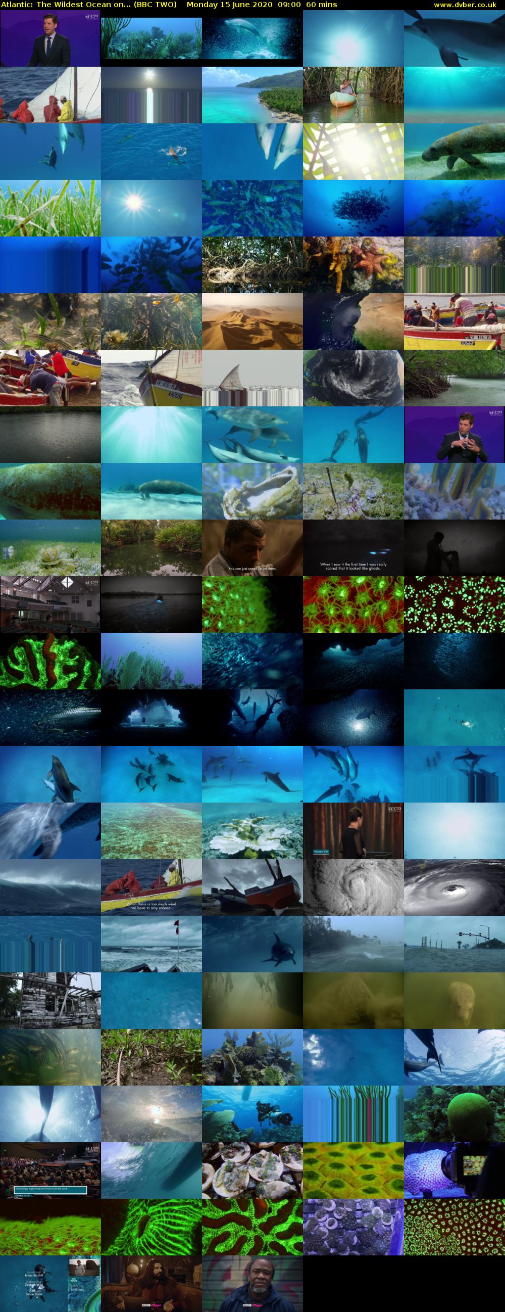 Atlantic: The Wildest Ocean on... (BBC TWO) Monday 15 June 2020 09:00 - 10:00
