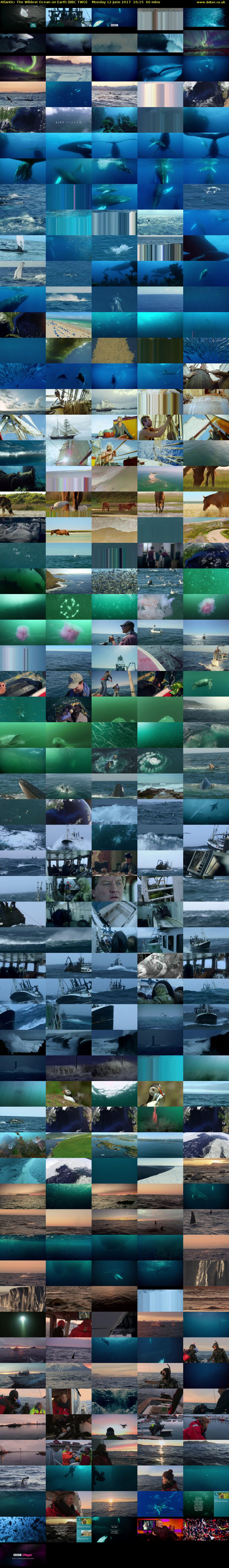 Atlantic: The Wildest Ocean on Earth (BBC TWO) Monday 12 June 2017 16:15 - 17:15