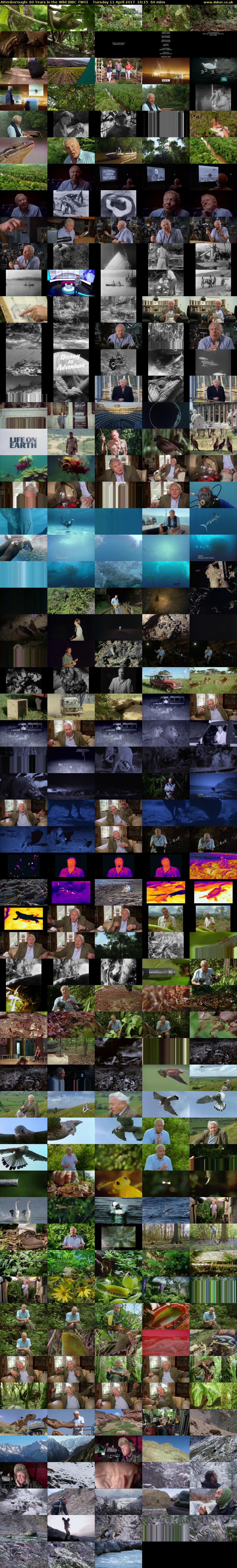 Attenborough: 60 Years in the Wild (BBC TWO) Tuesday 11 April 2017 16:15 - 17:15