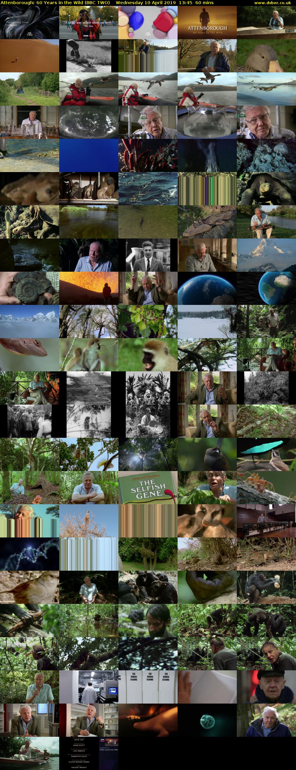 Attenborough: 60 Years in the Wild (BBC TWO) Wednesday 10 April 2019 13:45 - 14:45