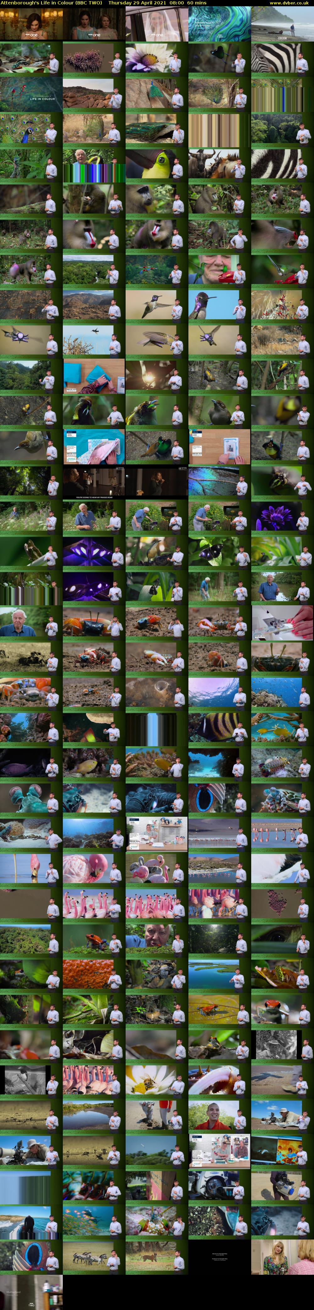 Attenborough's Life in Colour (BBC TWO) Thursday 29 April 2021 08:00 - 09:00