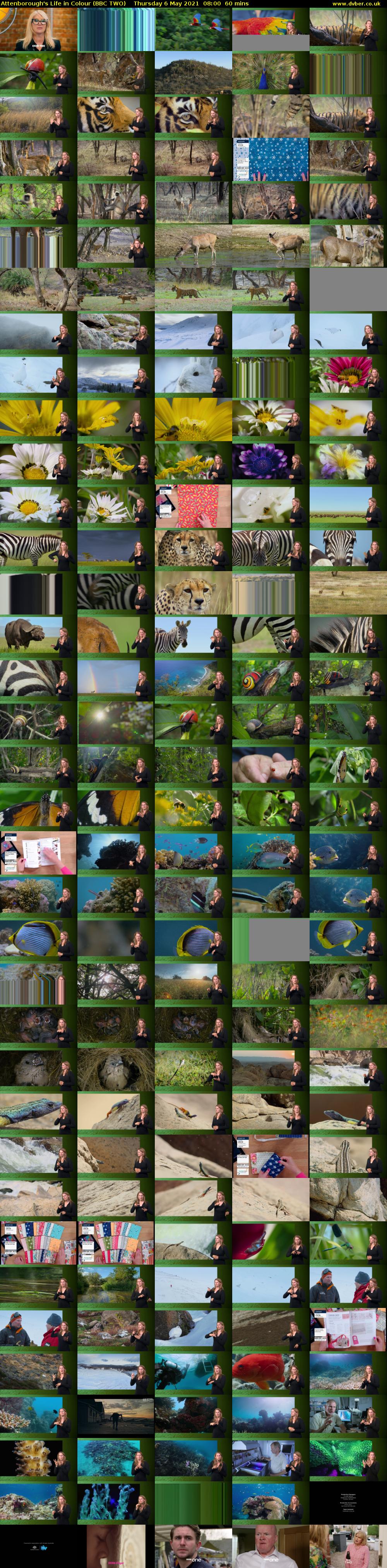Attenborough's Life in Colour (BBC TWO) Thursday 6 May 2021 08:00 - 09:00