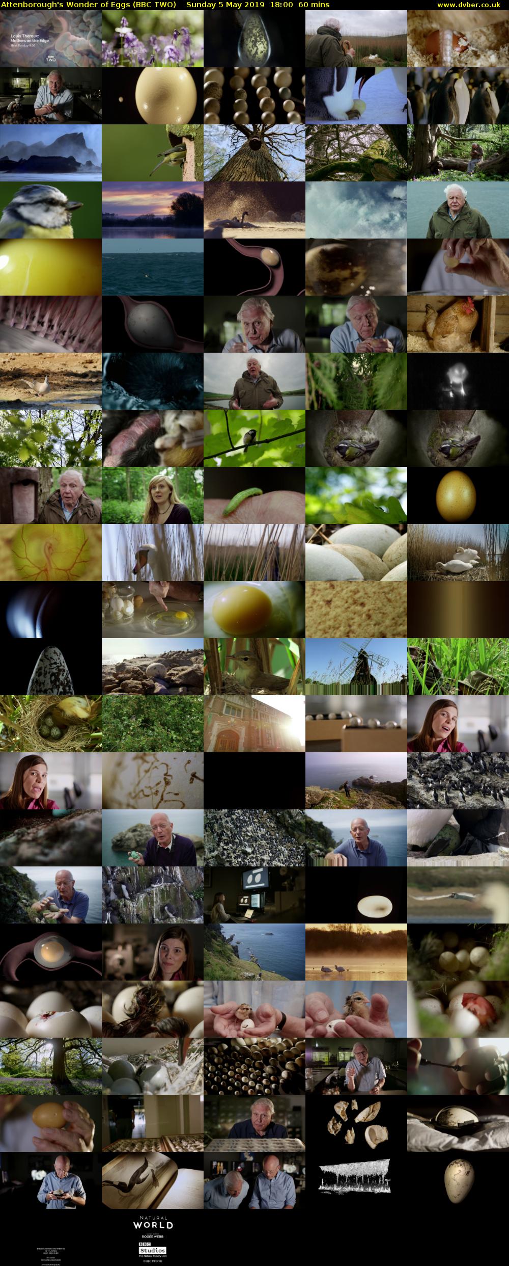 Attenborough's Wonder of Eggs (BBC TWO) Sunday 5 May 2019 18:00 - 19:00