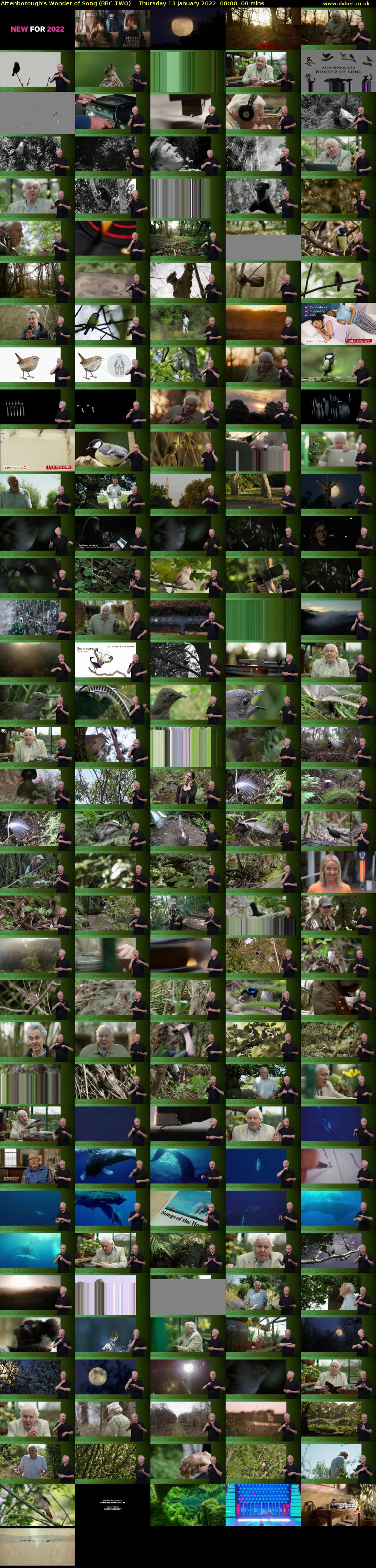 Attenborough's Wonder of Song (BBC TWO) Thursday 13 January 2022 08:00 - 09:00