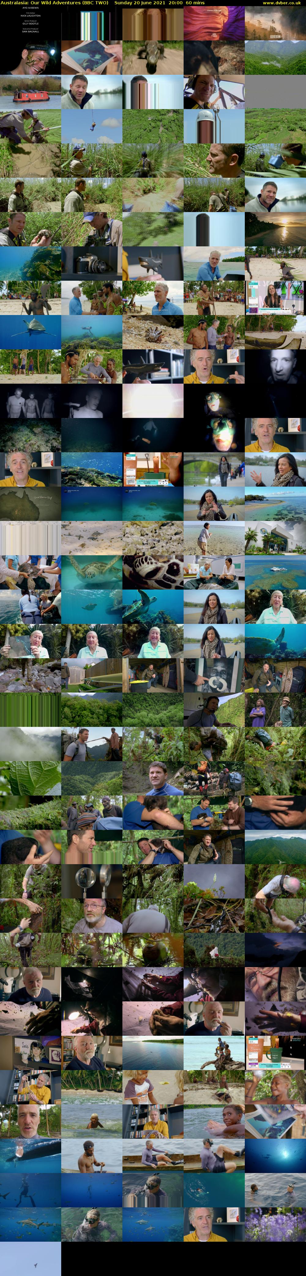 Australasia: Our Wild Adventures (BBC TWO) Sunday 20 June 2021 20:00 - 21:00