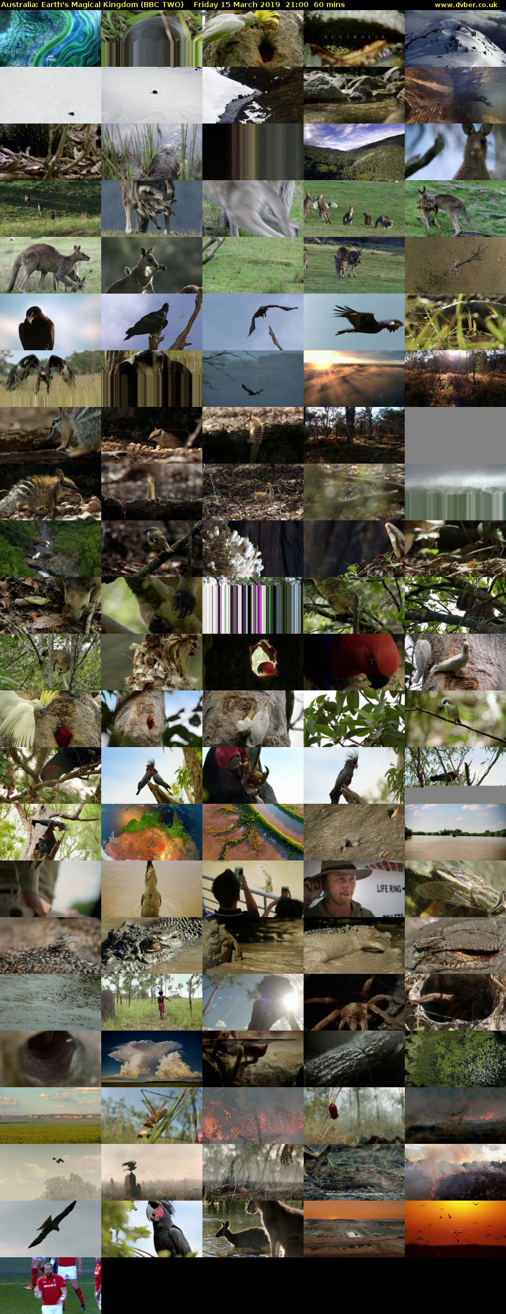 Australia: Earth's Magical Kingdom (BBC TWO) Friday 15 March 2019 21:00 - 22:00