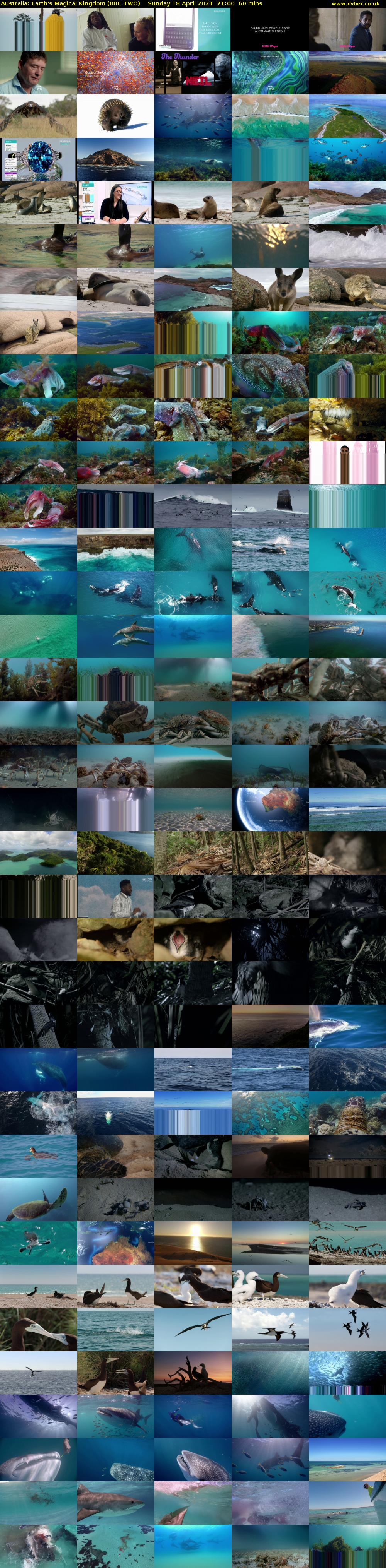 Australia: Earth's Magical Kingdom (BBC TWO) Sunday 18 April 2021 21:00 - 22:00