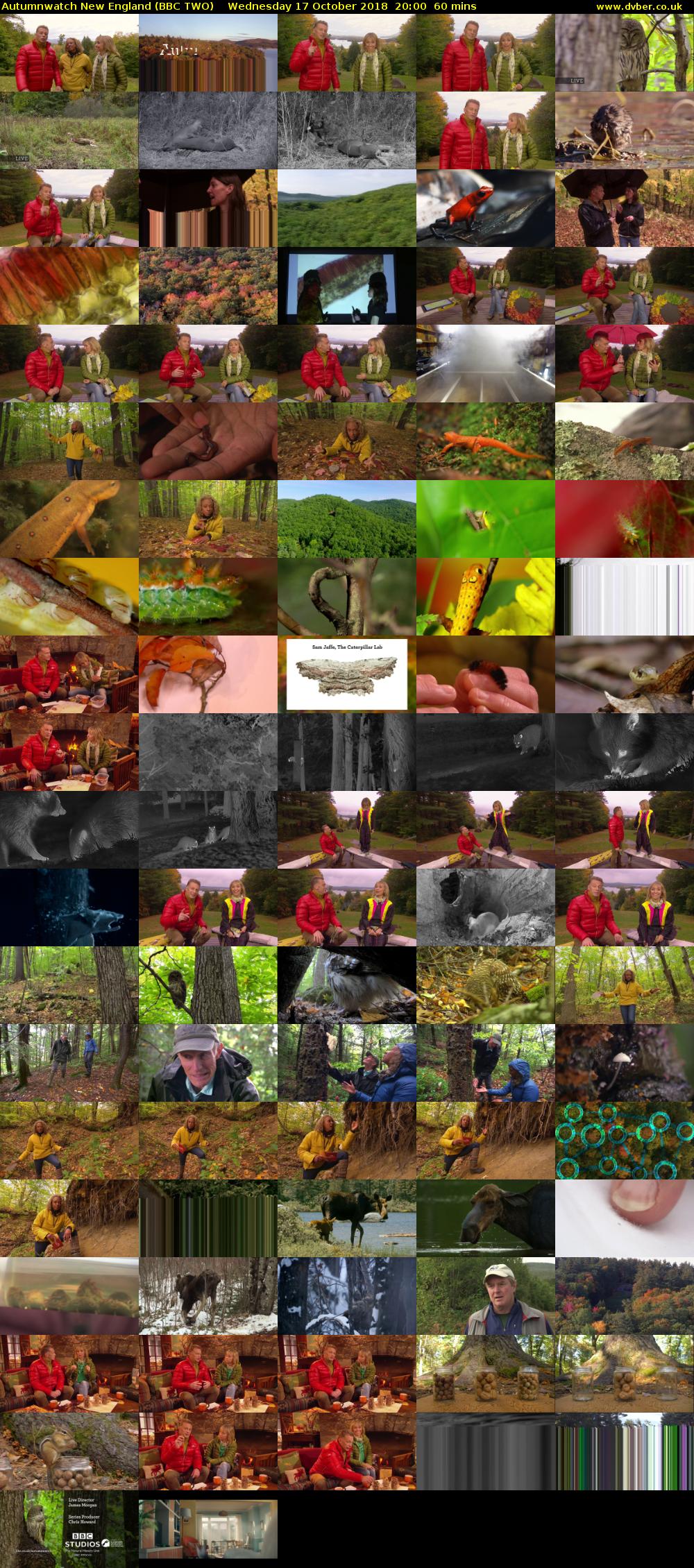 Autumnwatch New England (BBC TWO) Wednesday 17 October 2018 20:00 - 21:00