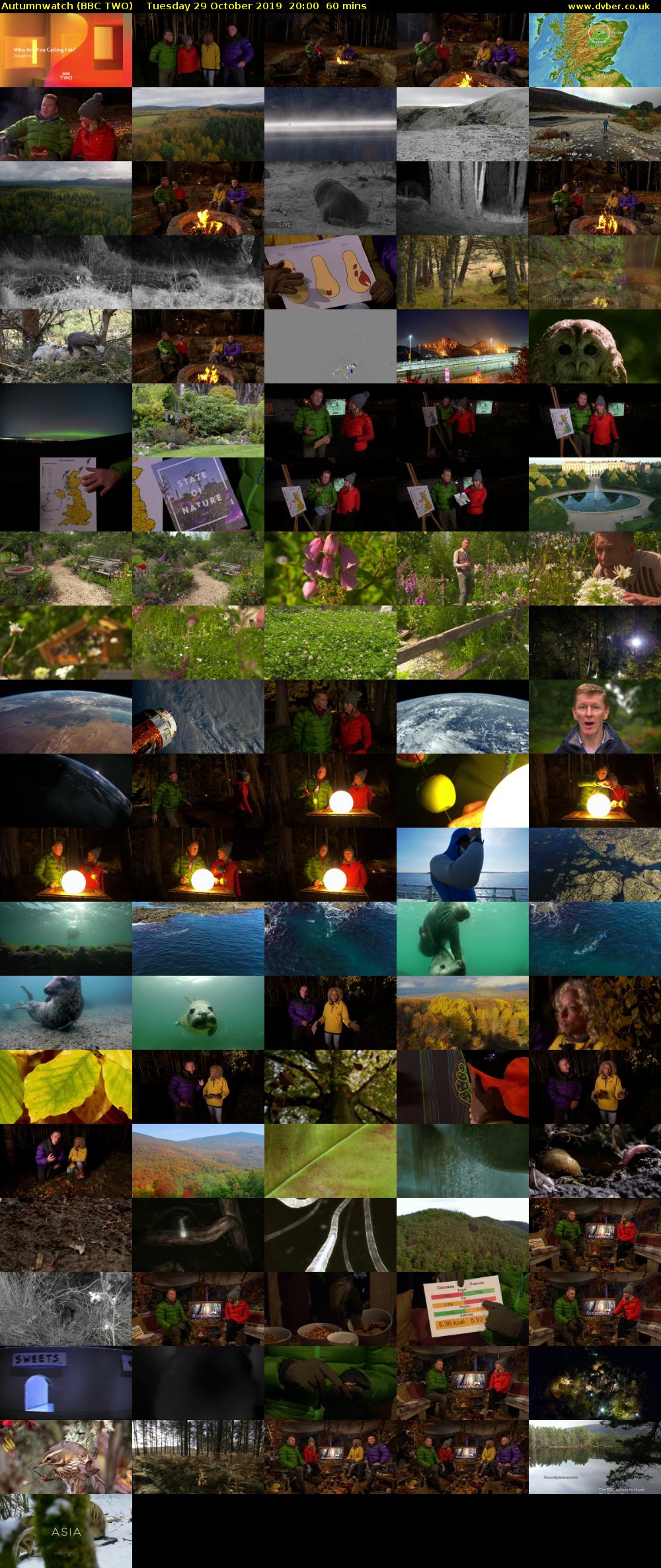Autumnwatch (BBC TWO) Tuesday 29 October 2019 20:00 - 21:00