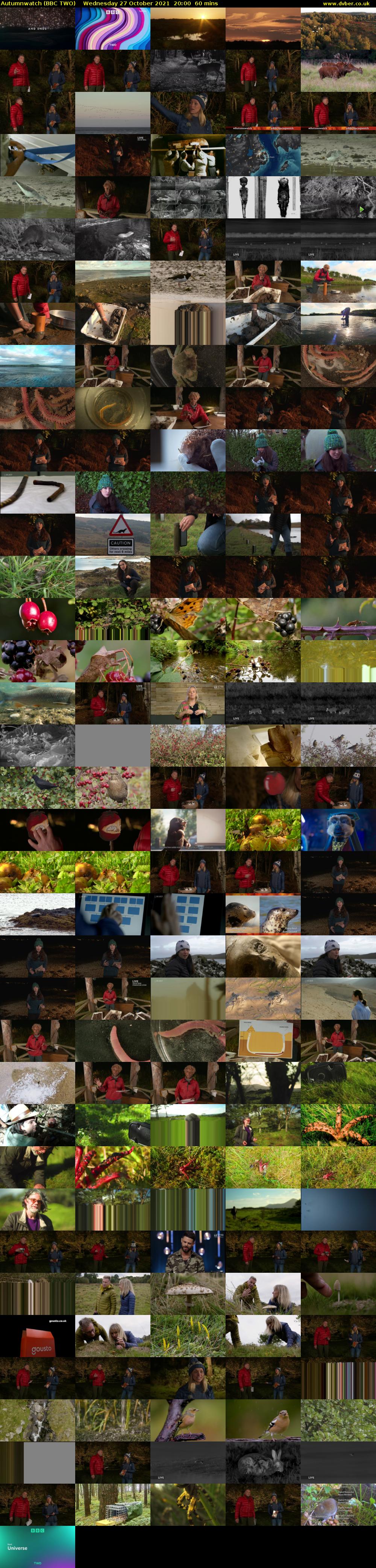 Autumnwatch (BBC TWO) Wednesday 27 October 2021 20:00 - 21:00