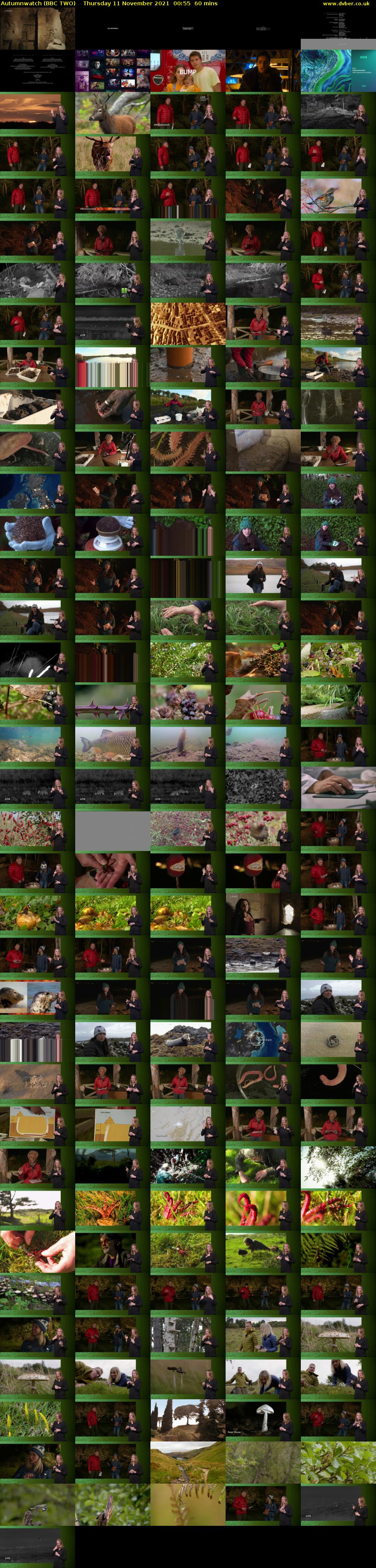 Autumnwatch (BBC TWO) Thursday 11 November 2021 00:55 - 01:55