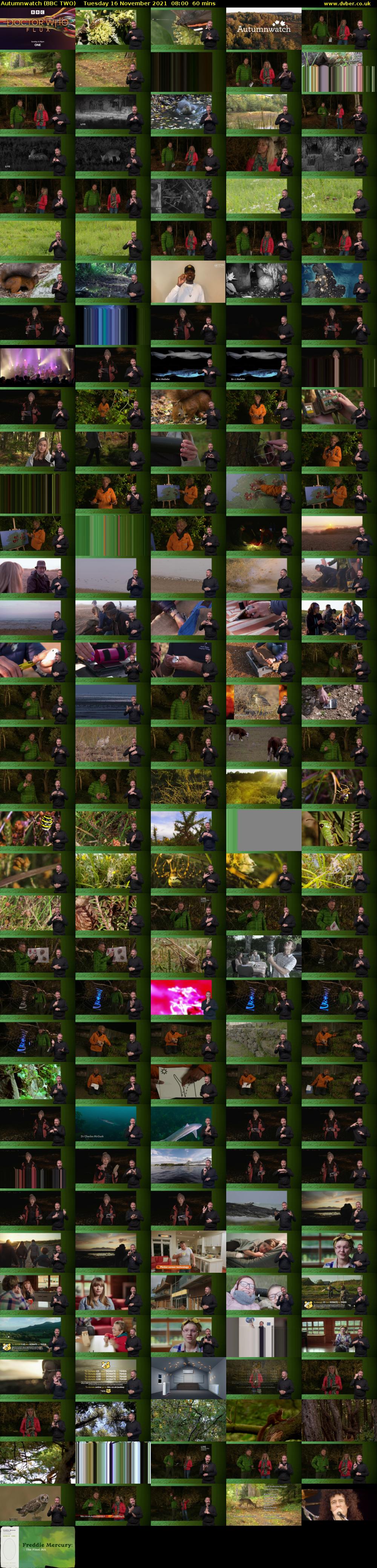 Autumnwatch (BBC TWO) Tuesday 16 November 2021 08:00 - 09:00