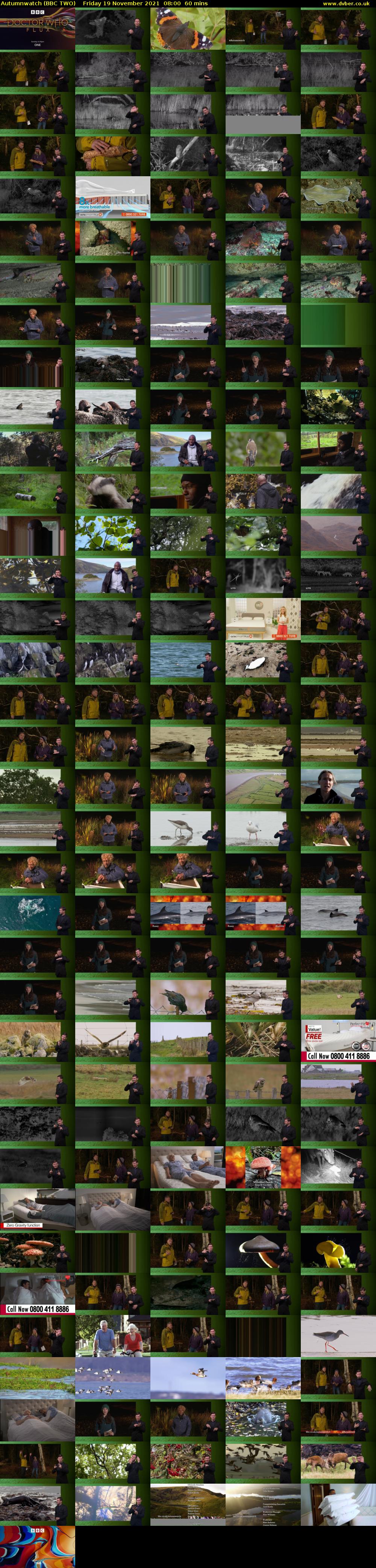 Autumnwatch (BBC TWO) Friday 19 November 2021 08:00 - 09:00