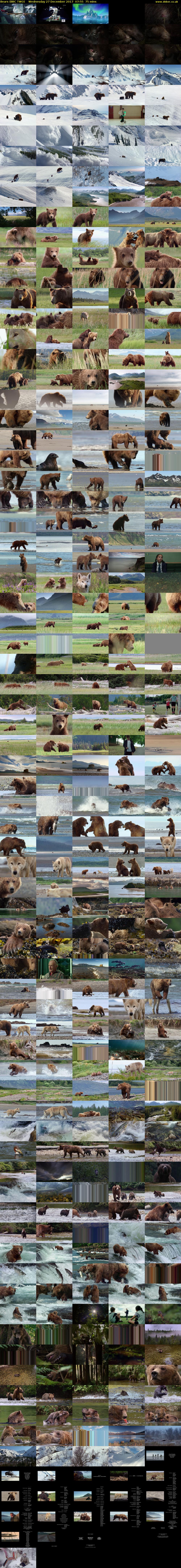 Bears (BBC TWO) Wednesday 27 December 2017 07:55 - 09:10