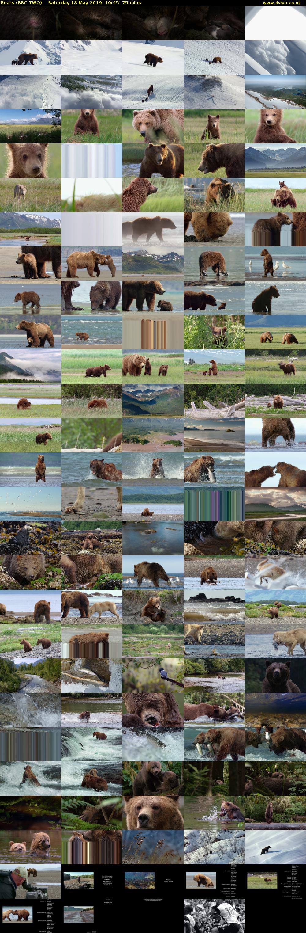 Bears (BBC TWO) Saturday 18 May 2019 10:45 - 12:00