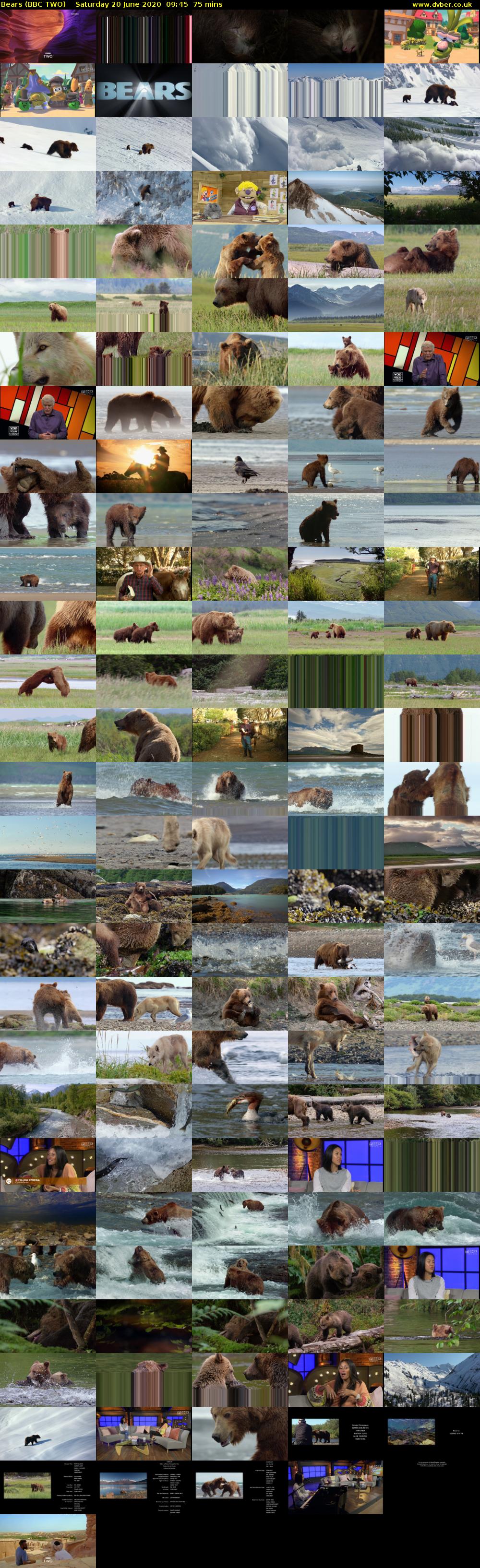 Bears (BBC TWO) Saturday 20 June 2020 09:45 - 11:00