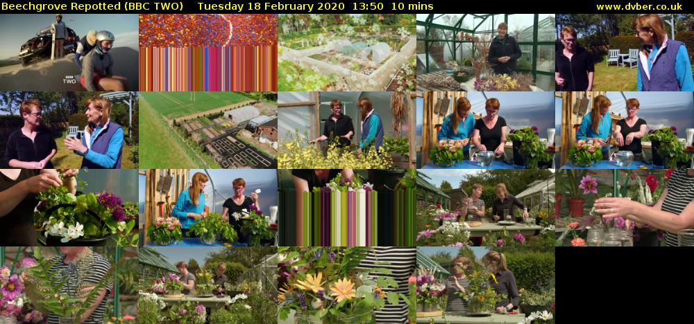 Beechgrove Repotted (BBC TWO) Tuesday 18 February 2020 13:50 - 14:00