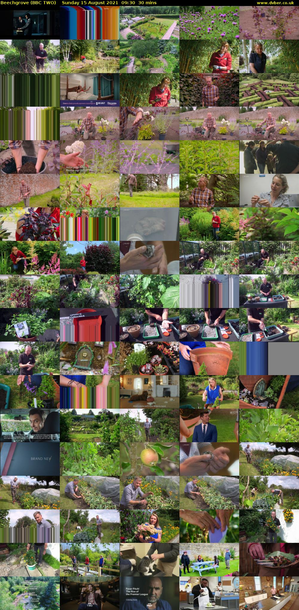 Beechgrove (BBC TWO) Sunday 15 August 2021 09:30 - 10:00