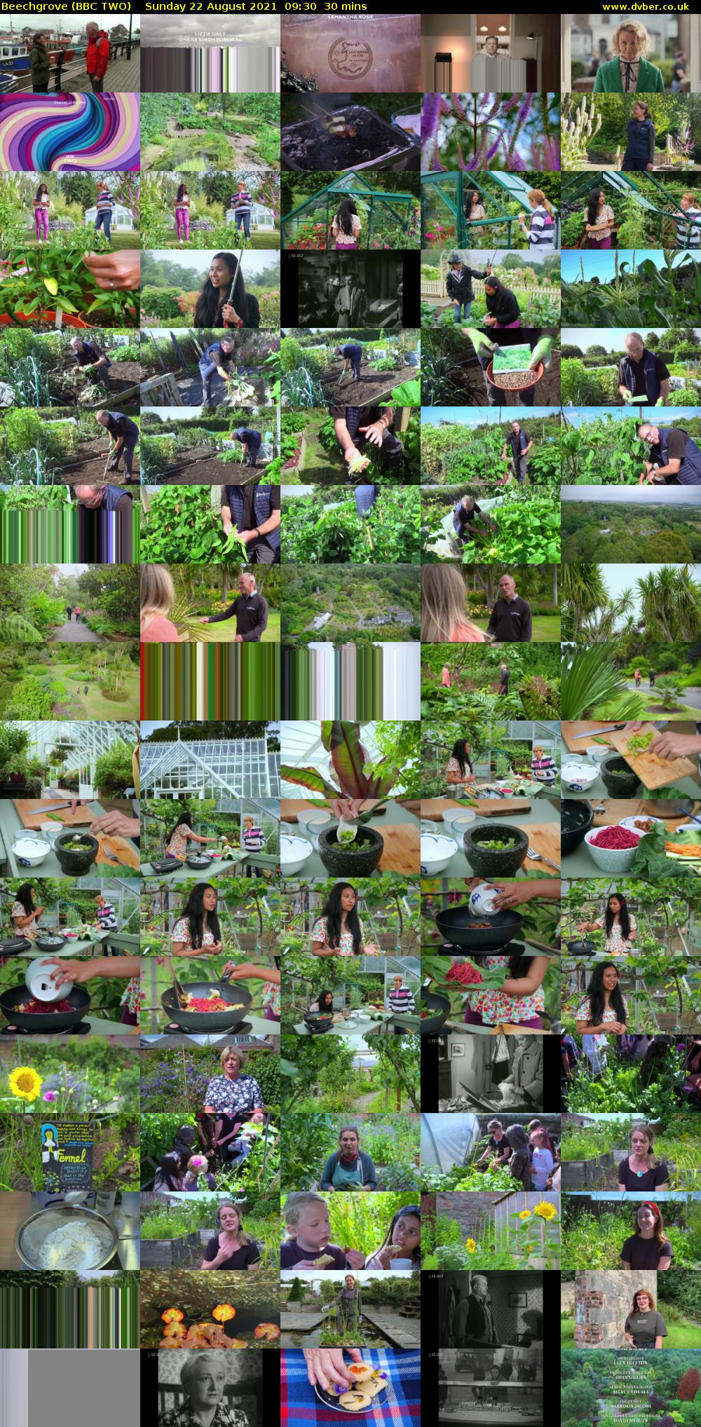 Beechgrove (BBC TWO) Sunday 22 August 2021 09:30 - 10:00