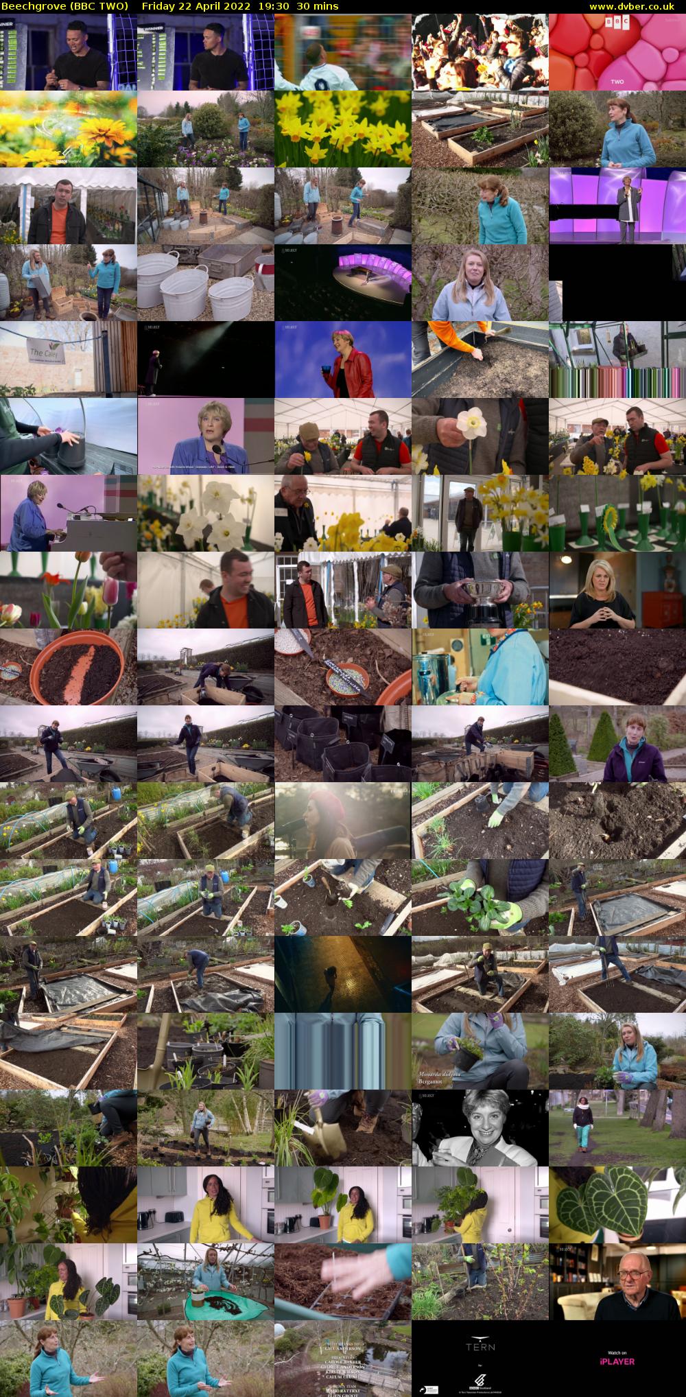 Beechgrove (BBC TWO) Friday 22 April 2022 19:30 - 20:00