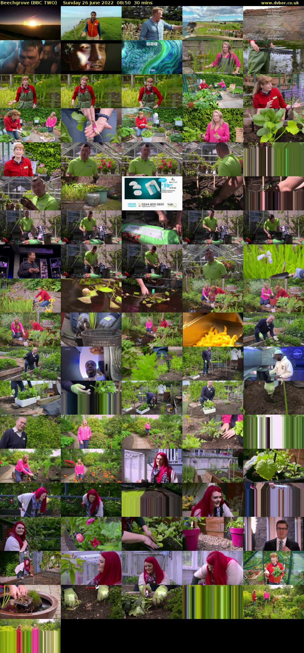 Beechgrove (BBC TWO) Sunday 26 June 2022 08:50 - 09:20