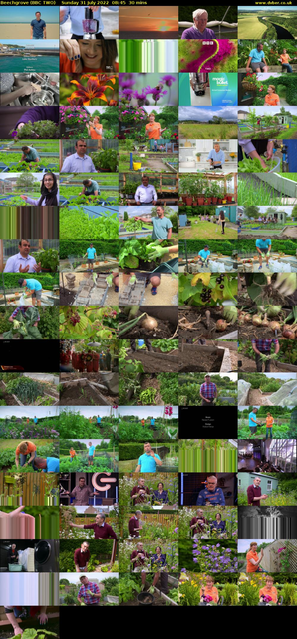Beechgrove (BBC TWO) Sunday 31 July 2022 08:45 - 09:15