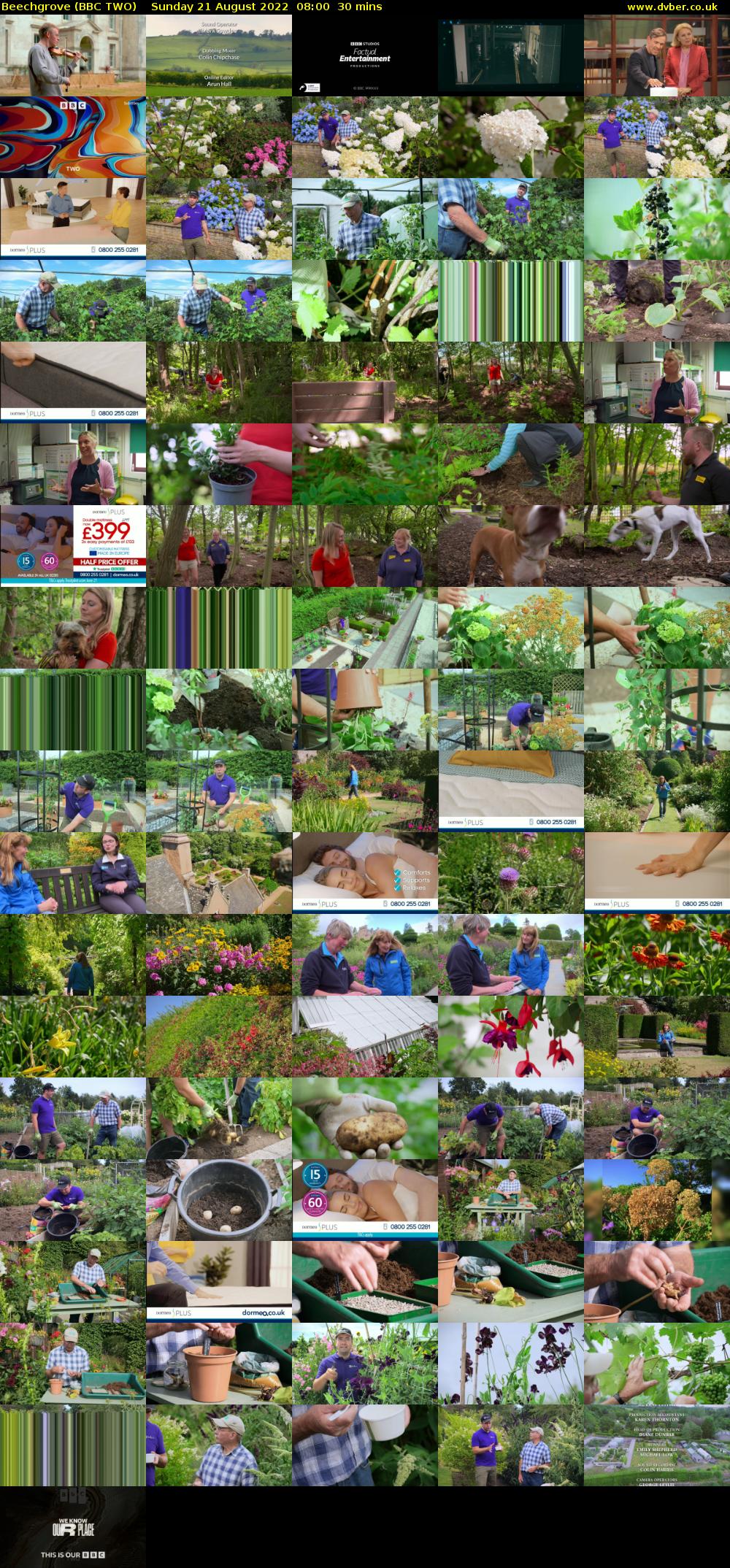 Beechgrove (BBC TWO) Sunday 21 August 2022 08:00 - 08:30
