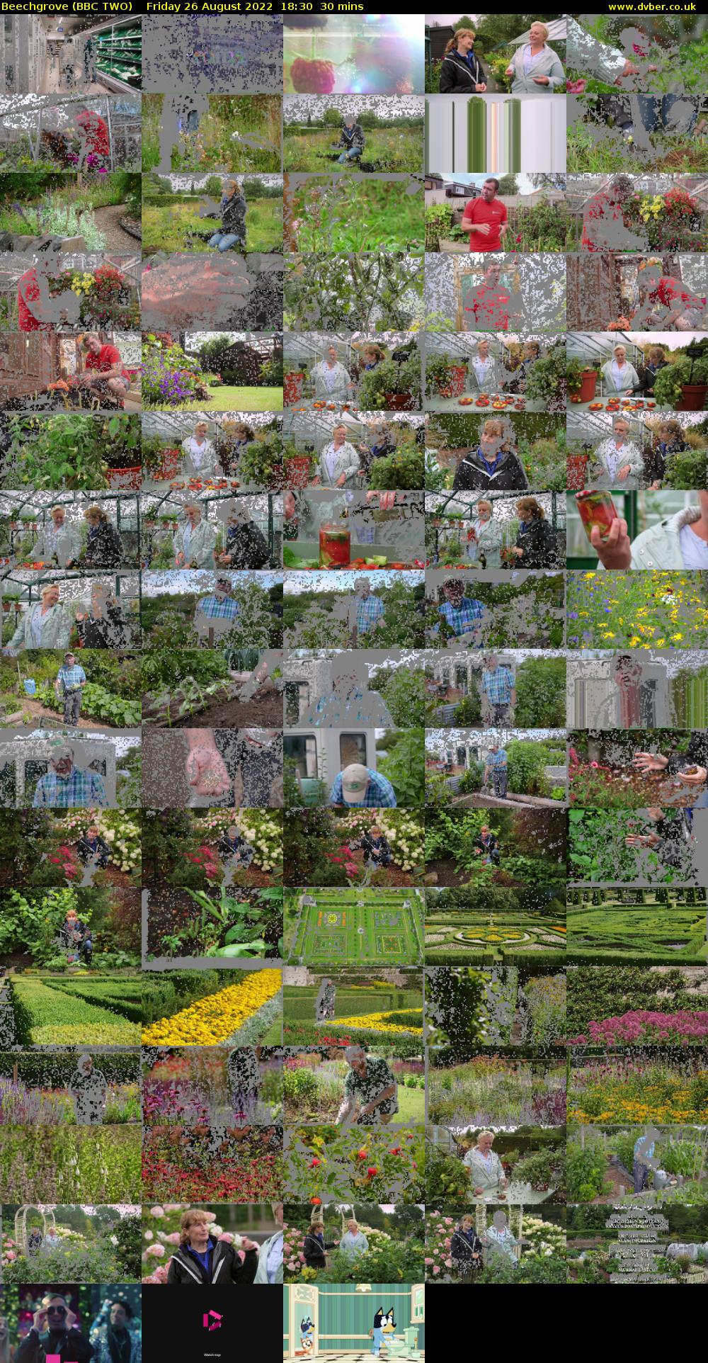 Beechgrove (BBC TWO) Friday 26 August 2022 18:30 - 19:00