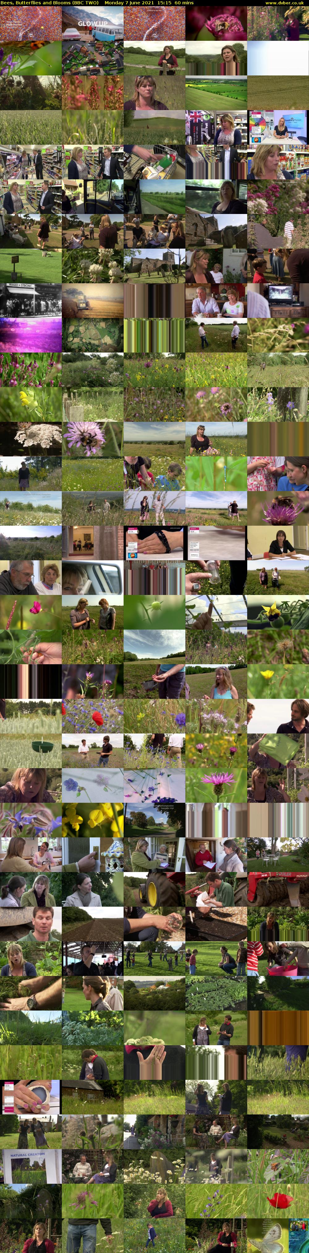 Bees, Butterflies and Blooms (BBC TWO) Monday 7 June 2021 15:15 - 16:15