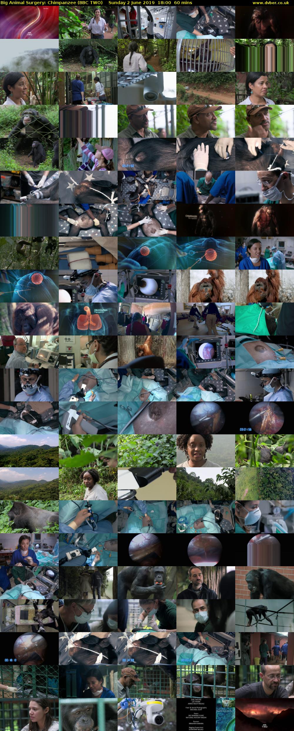 Big Animal Surgery: Chimpanzee (BBC TWO) Sunday 2 June 2019 18:00 - 19:00