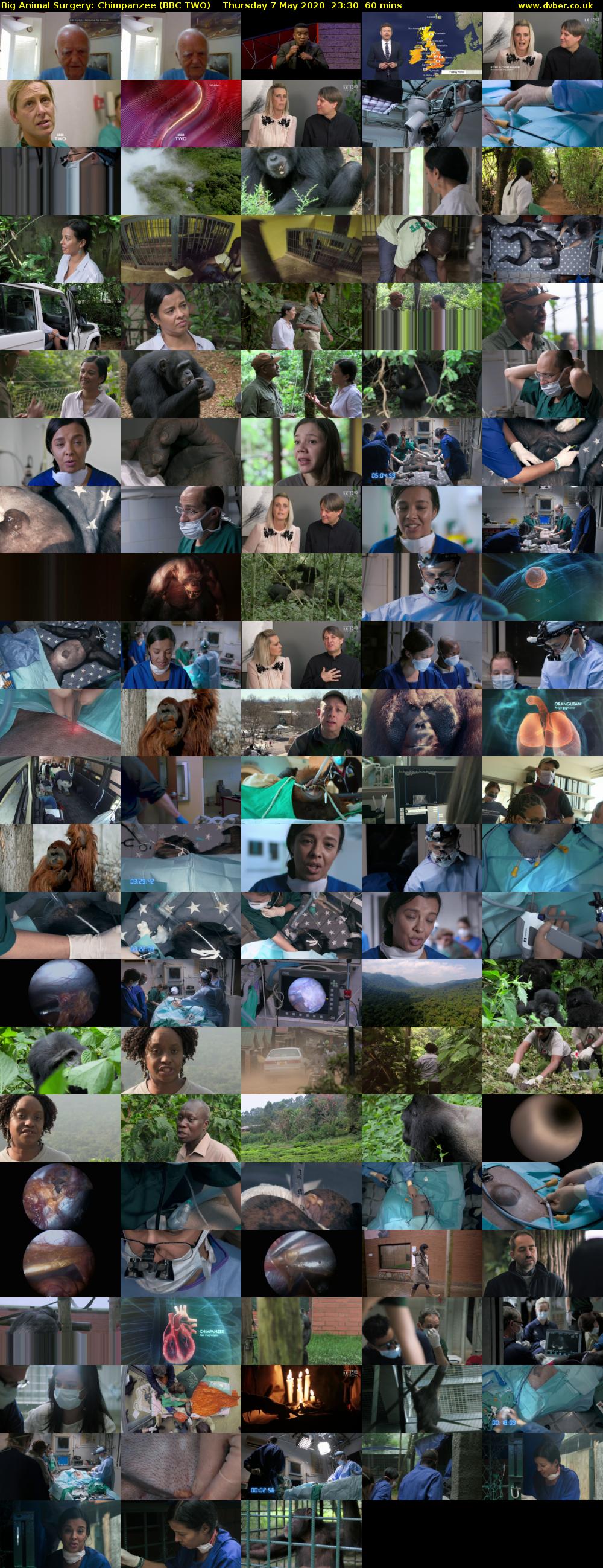 Big Animal Surgery: Chimpanzee (BBC TWO) Thursday 7 May 2020 23:30 - 00:30