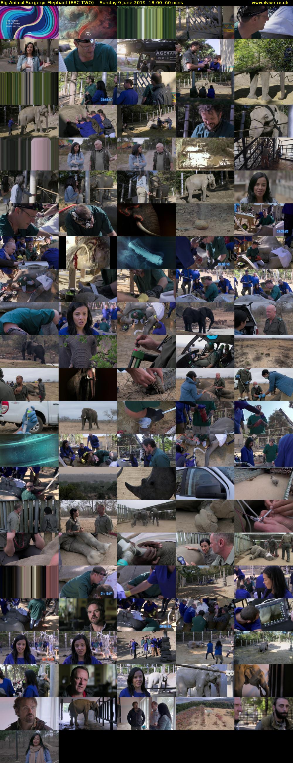 Big Animal Surgery: Elephant (BBC TWO) Sunday 9 June 2019 18:00 - 19:00