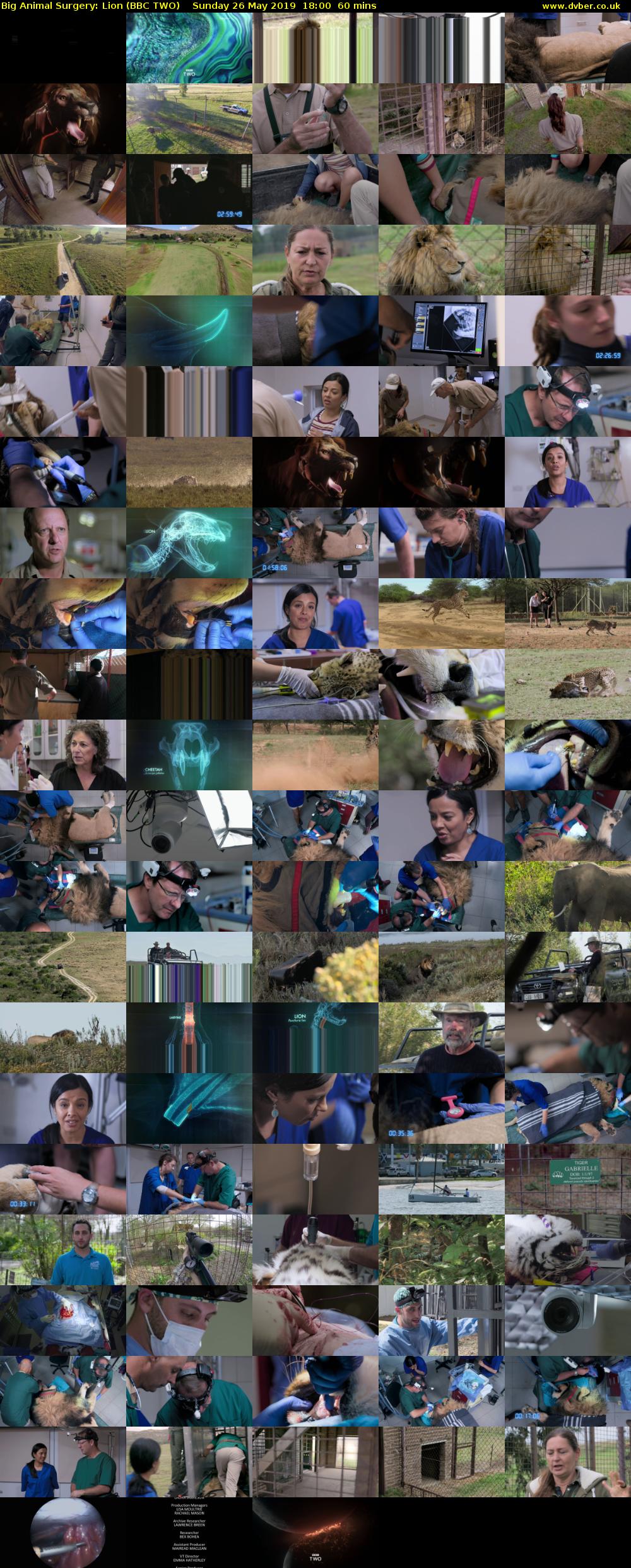 Big Animal Surgery: Lion (BBC TWO) Sunday 26 May 2019 18:00 - 19:00