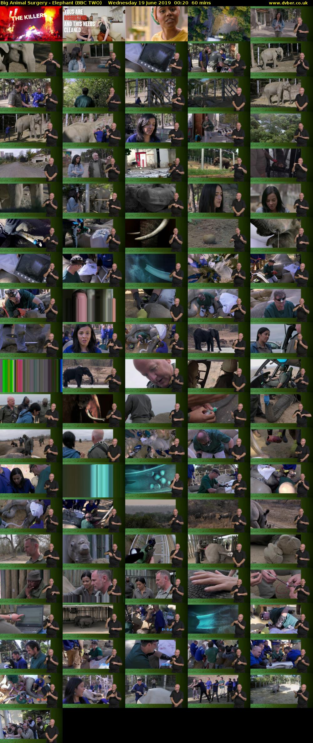 Big Animal Surgery - Elephant (BBC TWO) Wednesday 19 June 2019 00:20 - 01:20